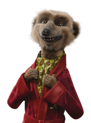 Photo of Aleksandr the meerkat from Compare the Market