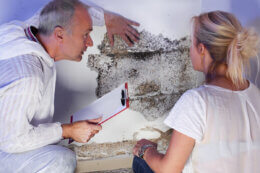 man inspecting termite damage