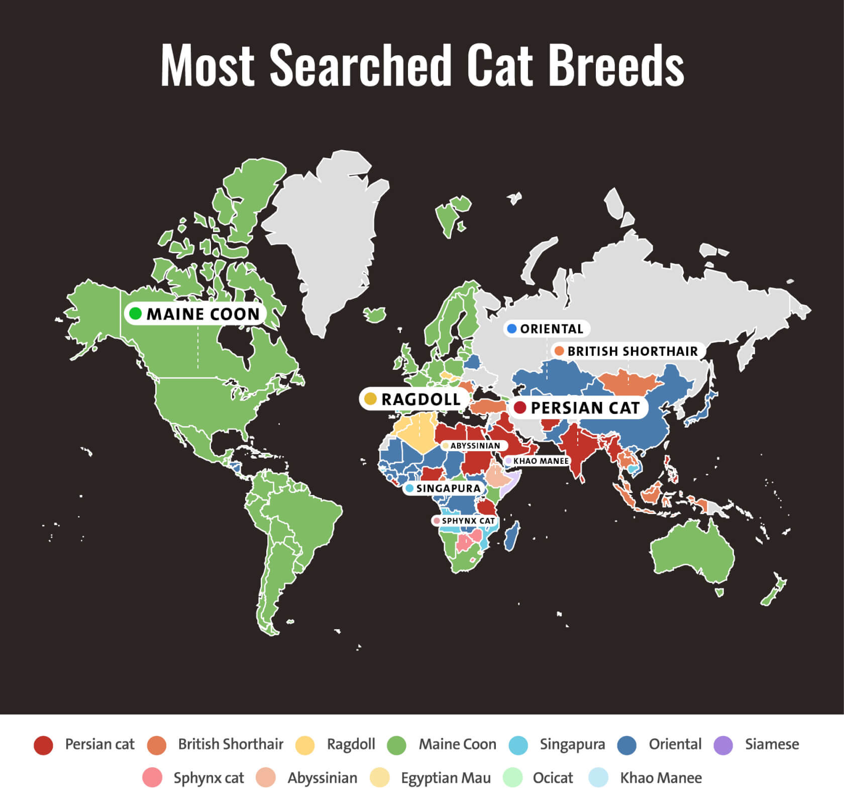 Map showing the most searched cat breeds around the world.