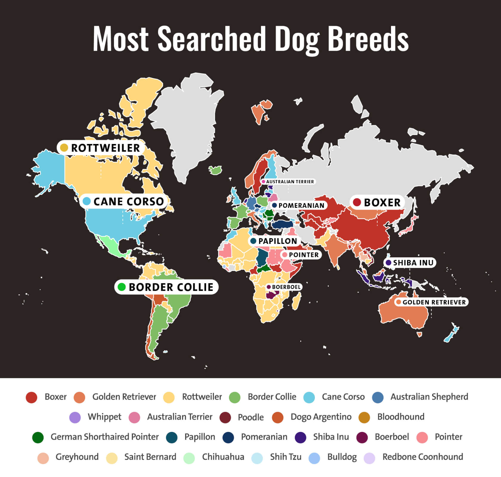 Map showing the most searched dog breeds around the world.