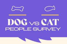 The text "Dog vs Cat People Survey" on a purple background with off white bone and fish outlines and yellow horizontal accent lines