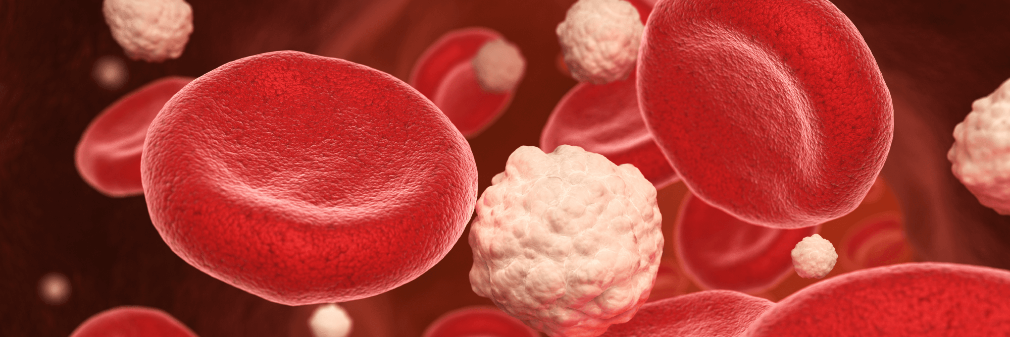 blood cell 3D render