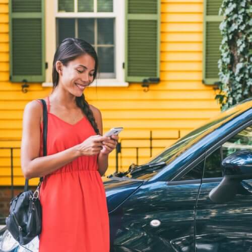 Lady does PPSR check on car purchase