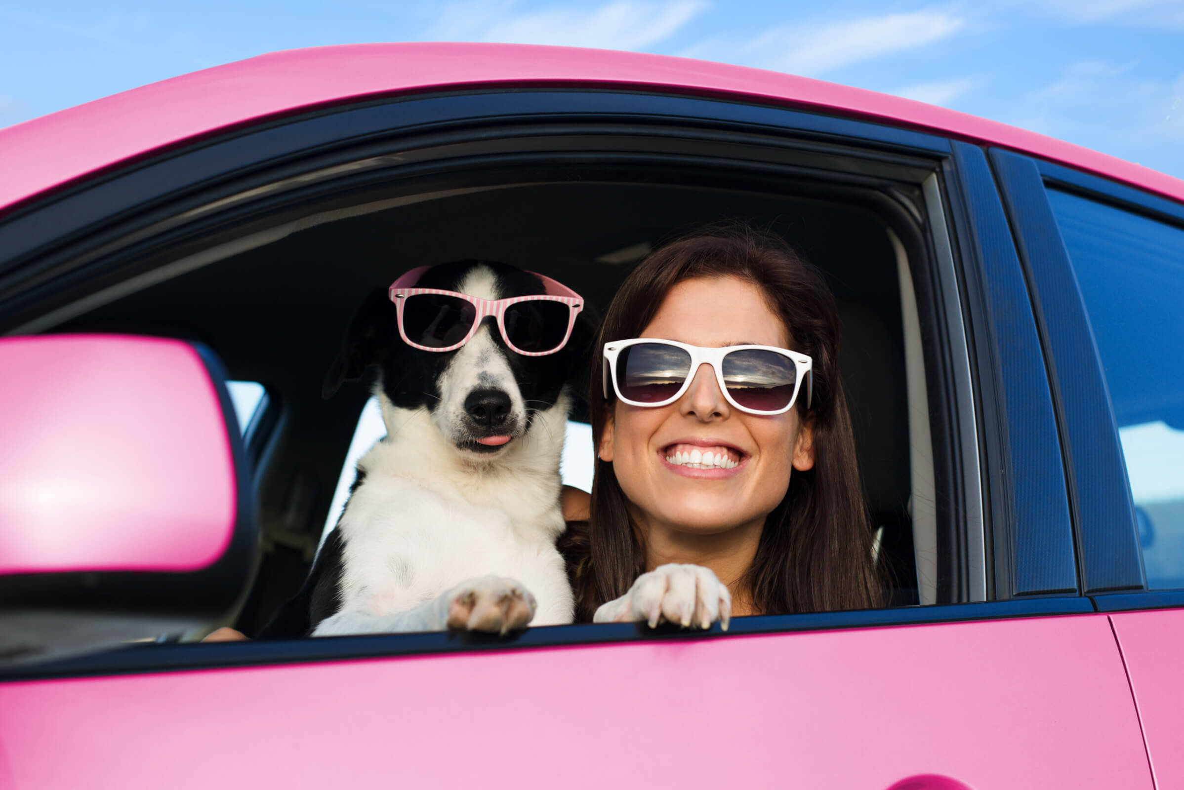 a Border Collie and a smiling woman in sunglasses sitting in a pink car