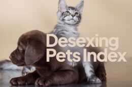 Desexing pets index thumbnail
