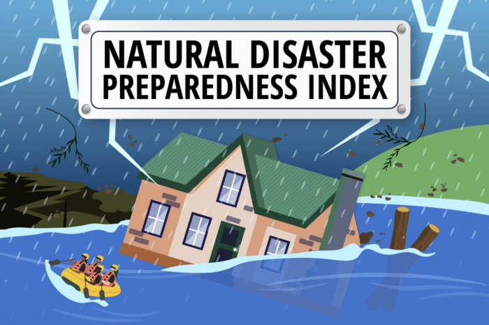 A cartoon image of a coastline being impacted by a flood and rain and lightning with title card overlay reading "natural disaster preparedness index"