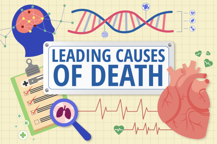 Illustration featuring medical icons including a heart, brain graphic, DNA strand, checklists, and the title ‘Leading Causes of Death.