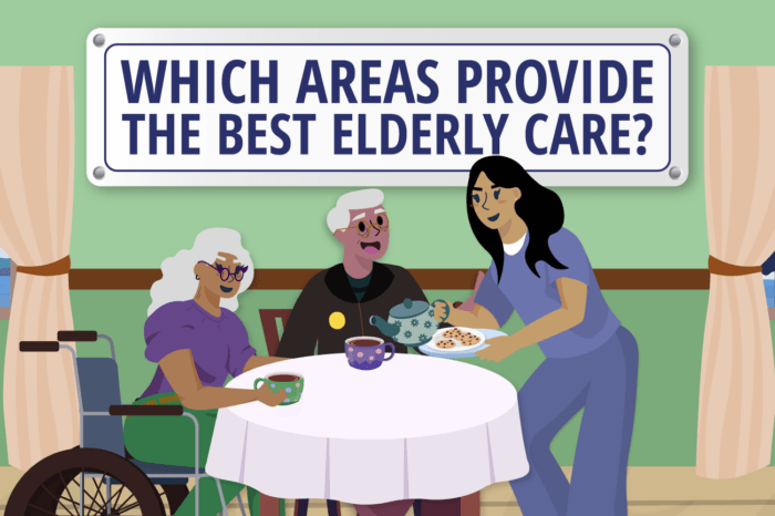 Which Areas Provide the Best Elderly Care