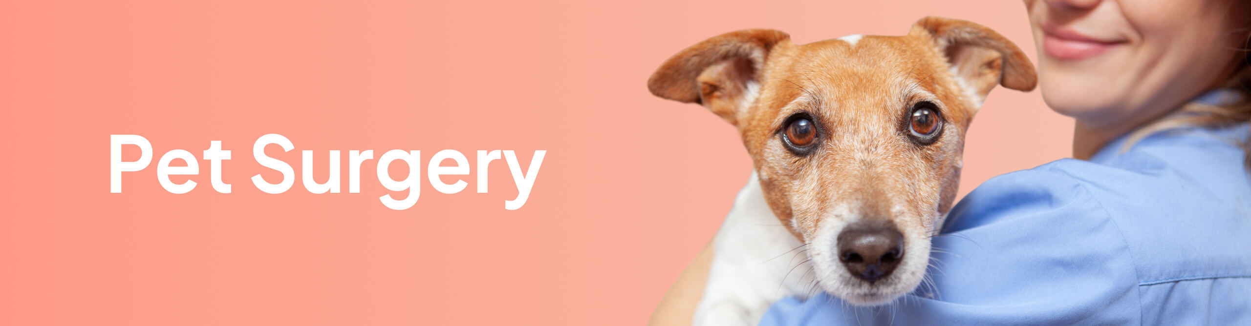 Image of woman holding a dog and titled Pet Surgery