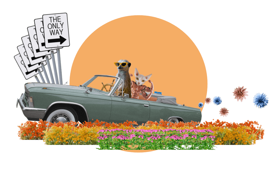 A fun design with a meerkat and a cat with a muscled figuring body, in a car driving with a ships wheel